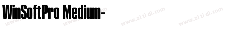 WinSoftPro Medium字体转换